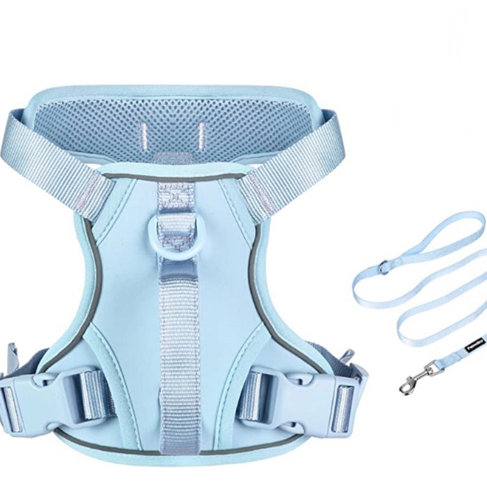harness and leash set slightly used